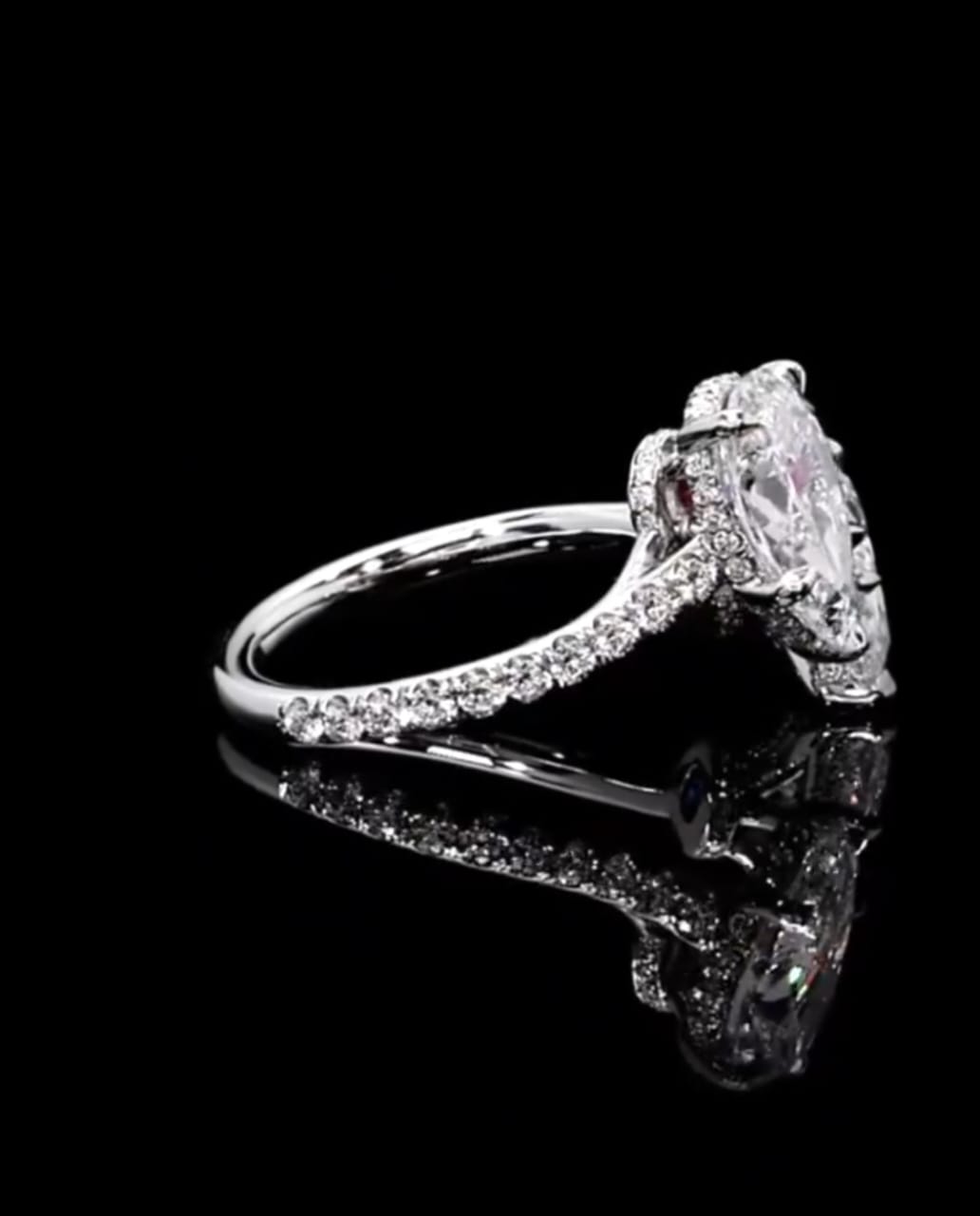 Full side profile shot showing the bypass setting, pavé band, and hidden halo structure in white gold