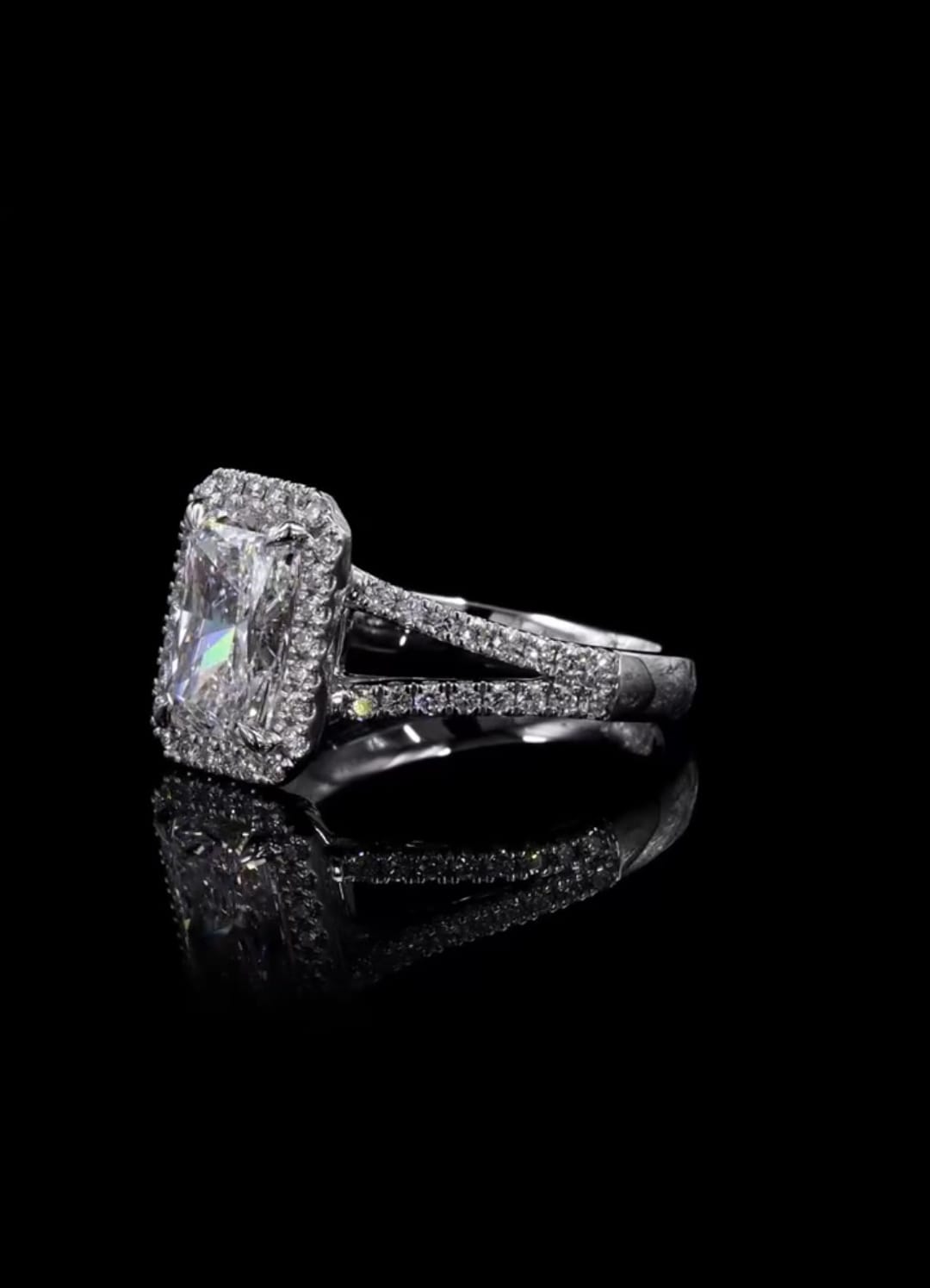 Side profile view showing the dual pavé split shank design in white gold