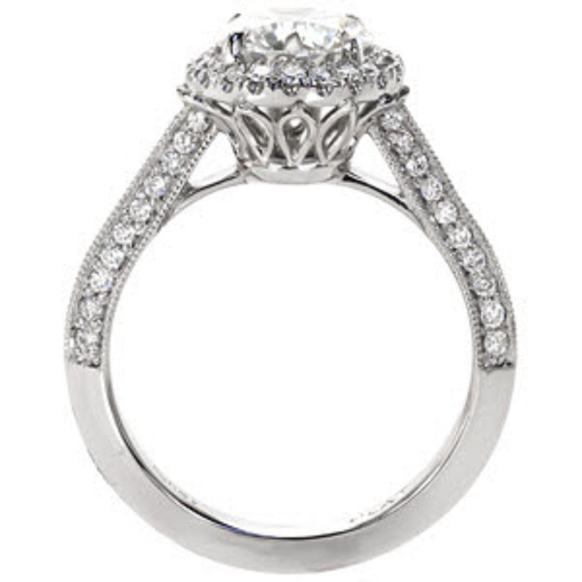 Side profile view of a round diamond halo ring displaying an intricate open-work filigree gallery and cathedral shoulders.