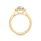 Full side arch profile of a 3 carat round lab-grown diamond engagement ring in yellow gold with cathedral bridge setting.
